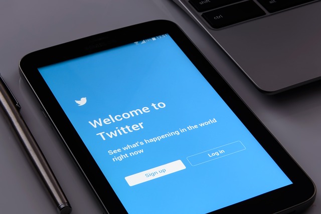 How To Build Your Twitter Following In 5 Easy Steps!